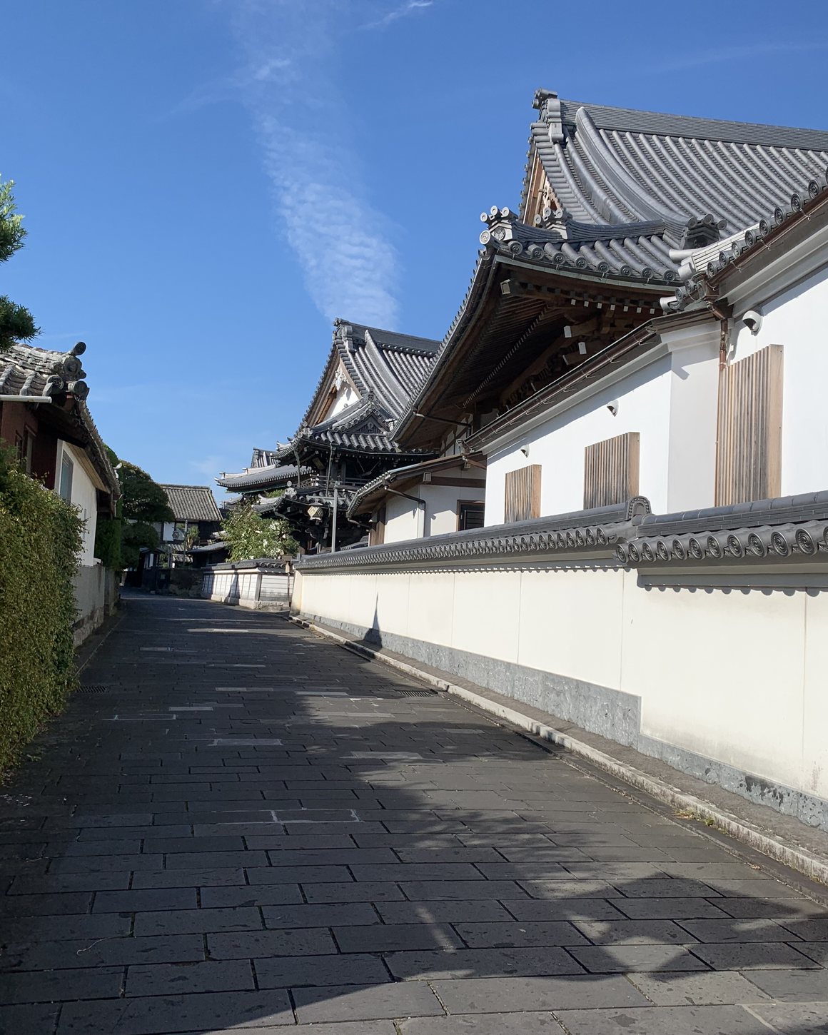 大分・臼杵の石畳の道と白壁の塀